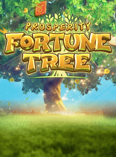 bdt55 Provably fair crash game cover